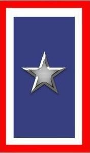 Silver Star Banner